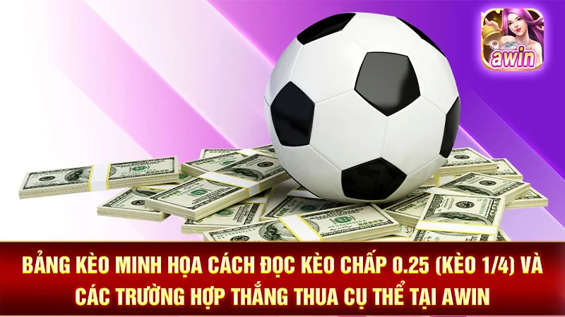 Bảng kèo minh họa cách đọc kèo chấp 0.25 (kèo 1/4) và các trường hợp thắng thua cụ thể tại AWIN.